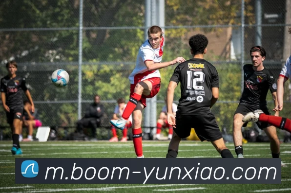 云霄体育平台生态图